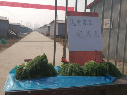 免费蔬菜发放点 免费蔬菜发放点