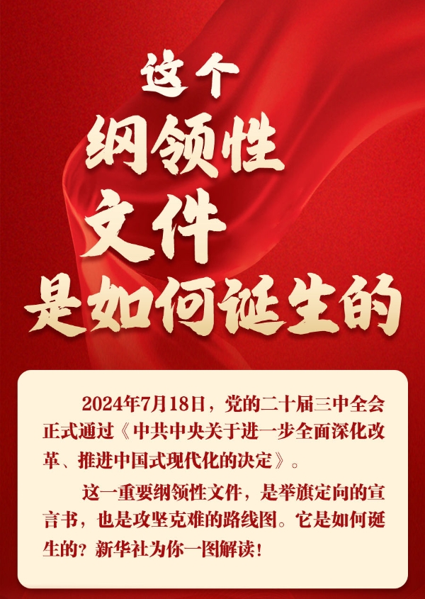 00300521564_ced38a6e