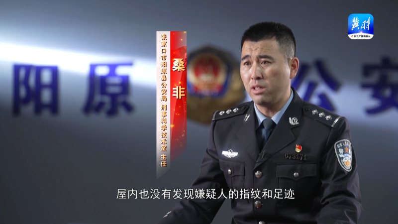 桑飞 桑飞