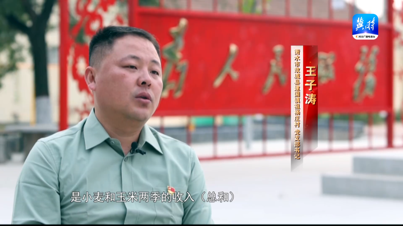 王子涛1 王子涛1